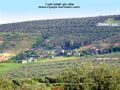 تصغير للنسخة بتاريخ ١٧:٠٤، ١٦ يوليو ٢٠٢٤