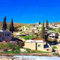 تصغير للنسخة بتاريخ ١٣:٠٧، ١٦ يوليو ٢٠٢٤